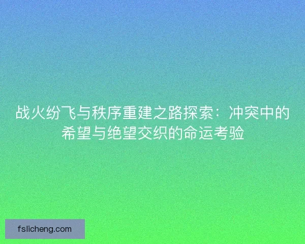 战火纷飞与秩序重建之路探索：冲突中的希望与绝望交织的命运考验