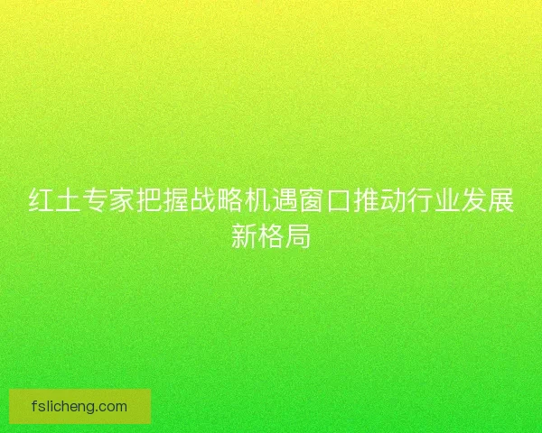 红土专家把握战略机遇窗口推动行业发展新格局